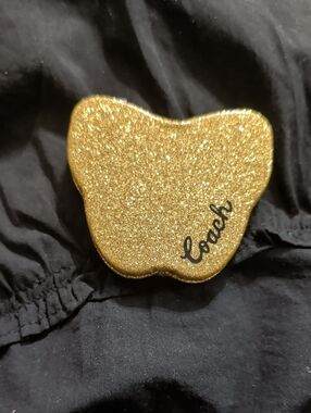 Coach Gold Glitter Butterfly Mirror
